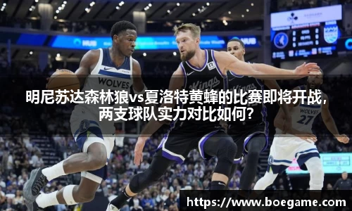 博鱼.体育官网
