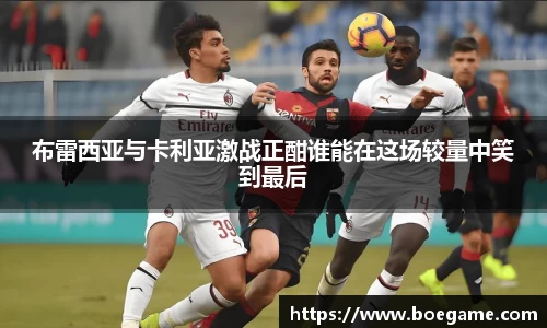 博鱼.boyu体育