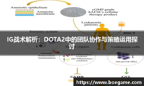 博鱼.体育官网